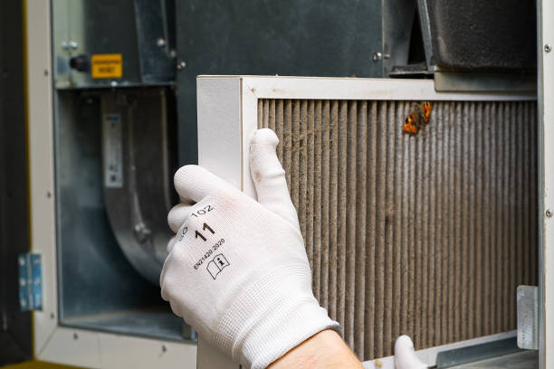 Best Air Duct Sanitizing Services  in Rockwall, TX